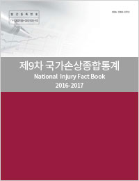 제9차 국가손상종합통계집