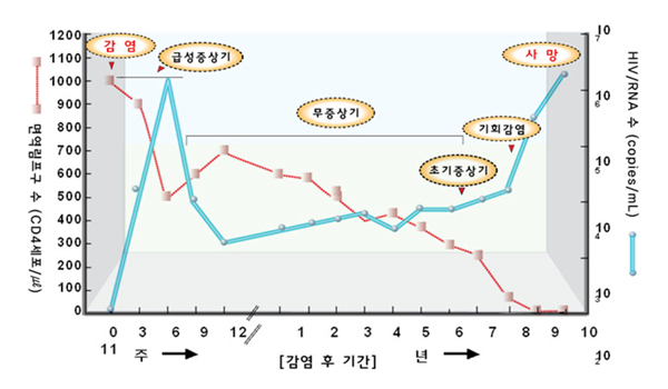 상세내용 아래참조