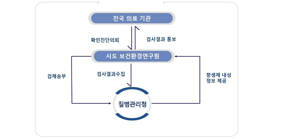 체계도