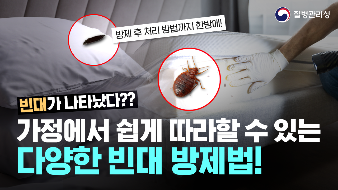 [영상자료] 생활 속 빈대 대처방안 괜찮으신가요? 표지