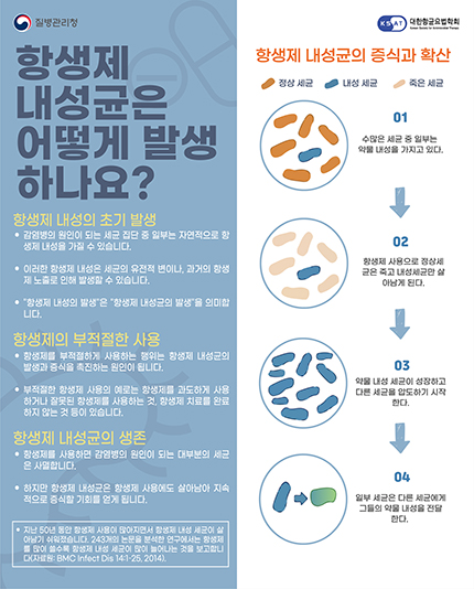 항생제 뉴스표지 : 항생제 내성의 발생