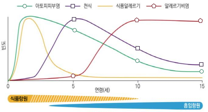 알레르기행진 자세한 내용은 하단참고