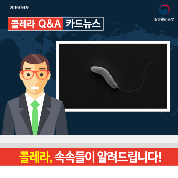 콜레라 Q&A 사진2