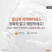 [카드뉴스] 가임기여성의 지카바이러스 감염증에 대한 Q&A 사진5