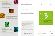 2011년 결핵 다국어 리플렛(영어) 사진6