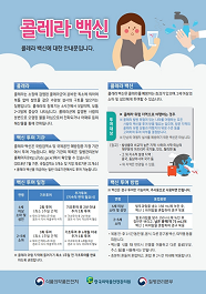 콜레라,황열 백신 안전 사용 안내문 사진2