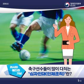 [러시아 월드컵 기념] 축구선수들이 많이 다치는 '십자인대(인체조직)'란? 사진2