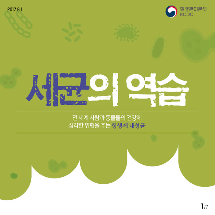 세균의 역습(항생제 내성균) 사진7