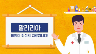 [말라리아] FACT! 예방이 최선의 치료! 사진2