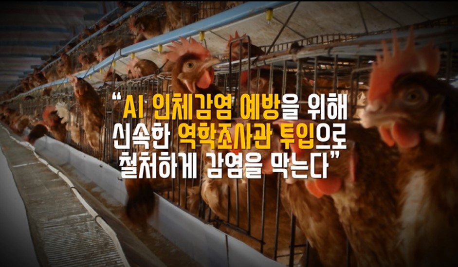 AI 인체감염 예방을 위한 역학조사관 긴급출동 사진8