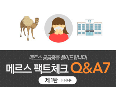 메르스 팩트체크 Q&A 제1탄 사진2