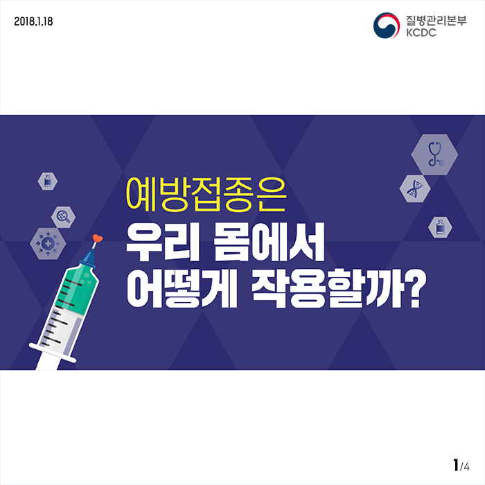 예방접종은 우리 몸에서 어떻게 작용할까?_예방의 원리 사진9