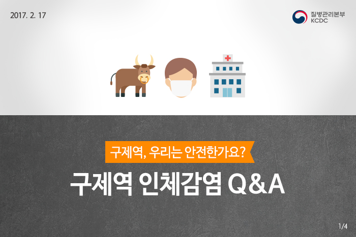 구제역, 우리는 안전한가요? 사진3