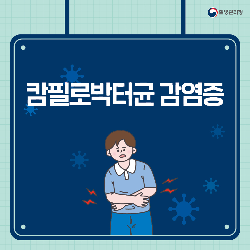 캄필로박터균 감염증 개요