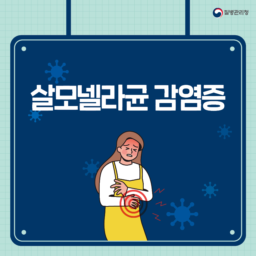 살모넬라균 감염증 개요