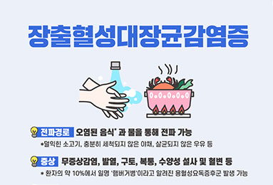 장출혈성대장균감염증 예방하고, 건강한 여름 나기!