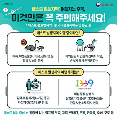 페스트 발생지역 여행자는 주목, 이것만은 꼭 주의해주세요!