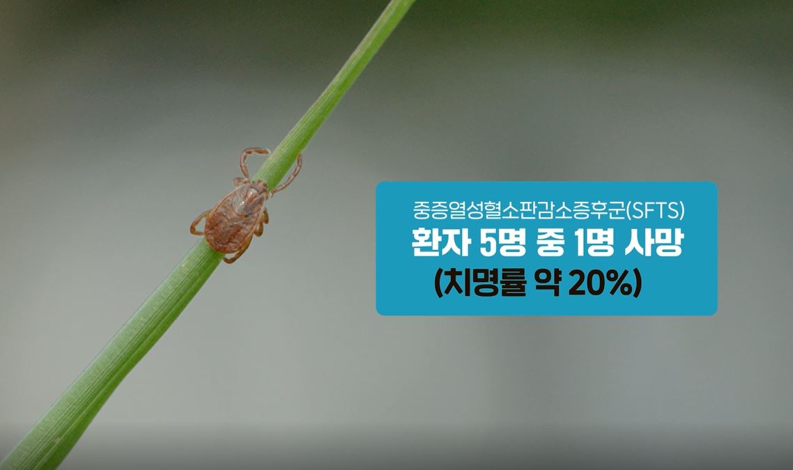 2023년 진드기 매개 감염병 대국민용